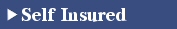 Self Insured